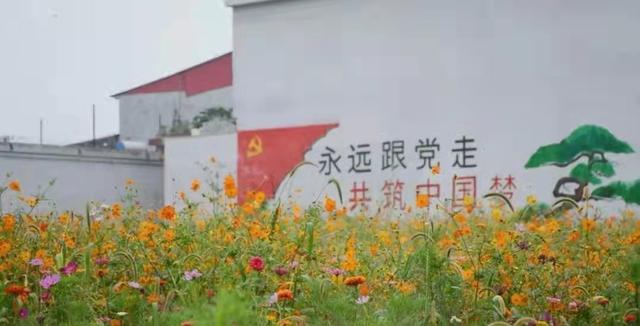 汝南县韩庄镇：稳步推进“美丽乡村”向“美丽经济”转化